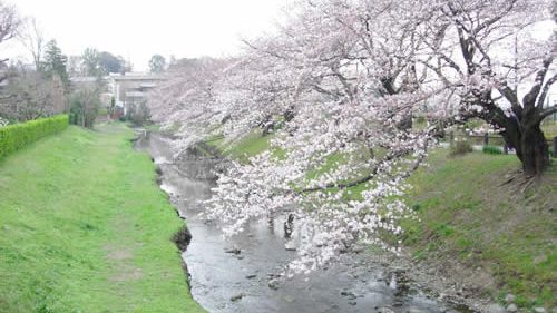 東京朝高28期　만세！