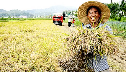 《만풍년-청산벌에 풍년이 왔네》